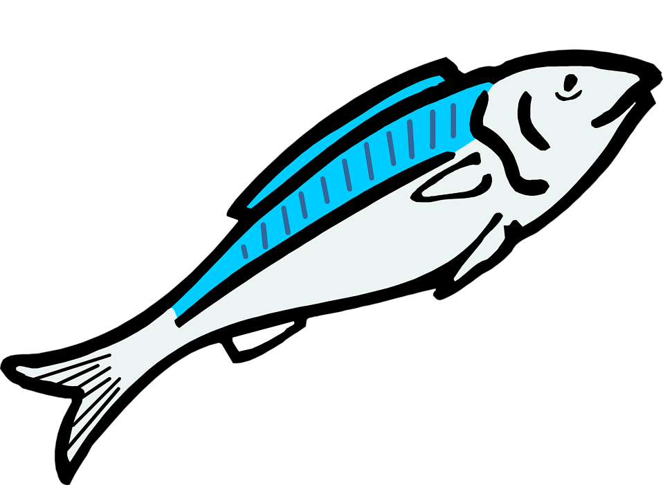 fish